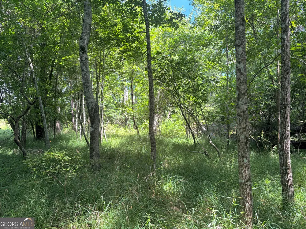 0 Ernest Carter RD Hazlehurst, GA 31539