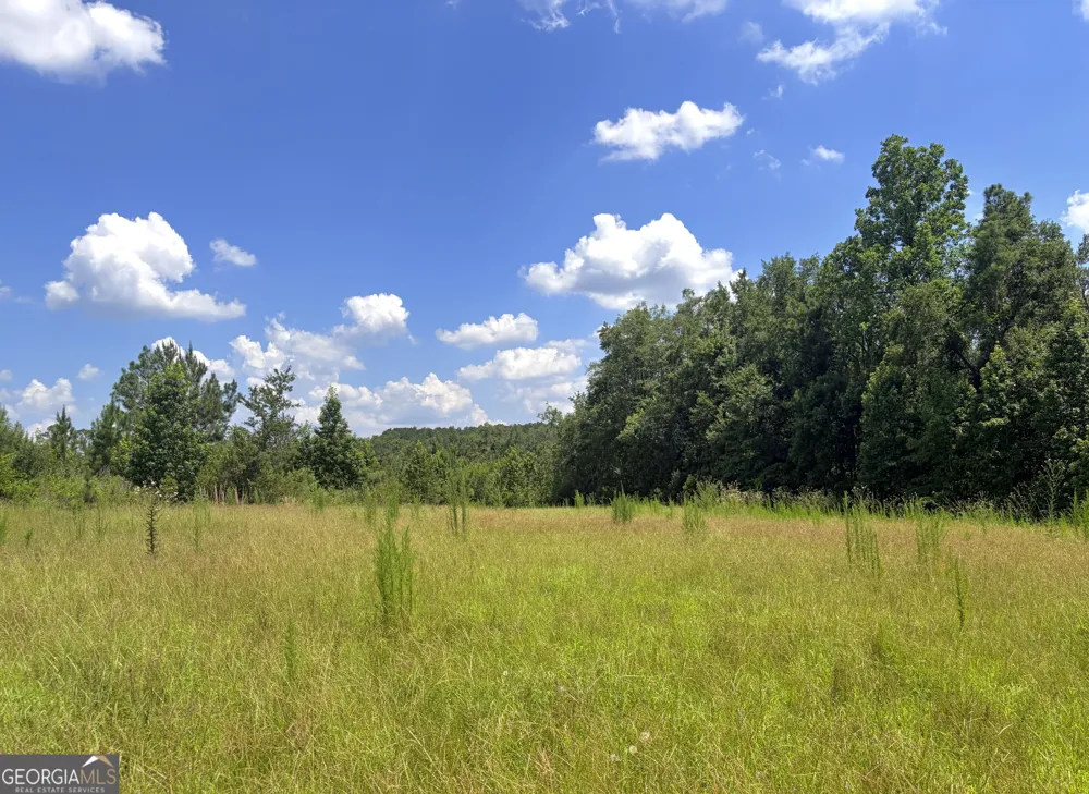 0 Ernest Carter RD Hazlehurst, GA 31539
