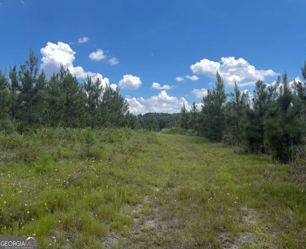 0 Ernest Carter RD Hazlehurst, GA 31539