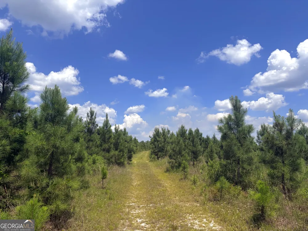 0 Ernest Carter RD Hazlehurst, GA 31539