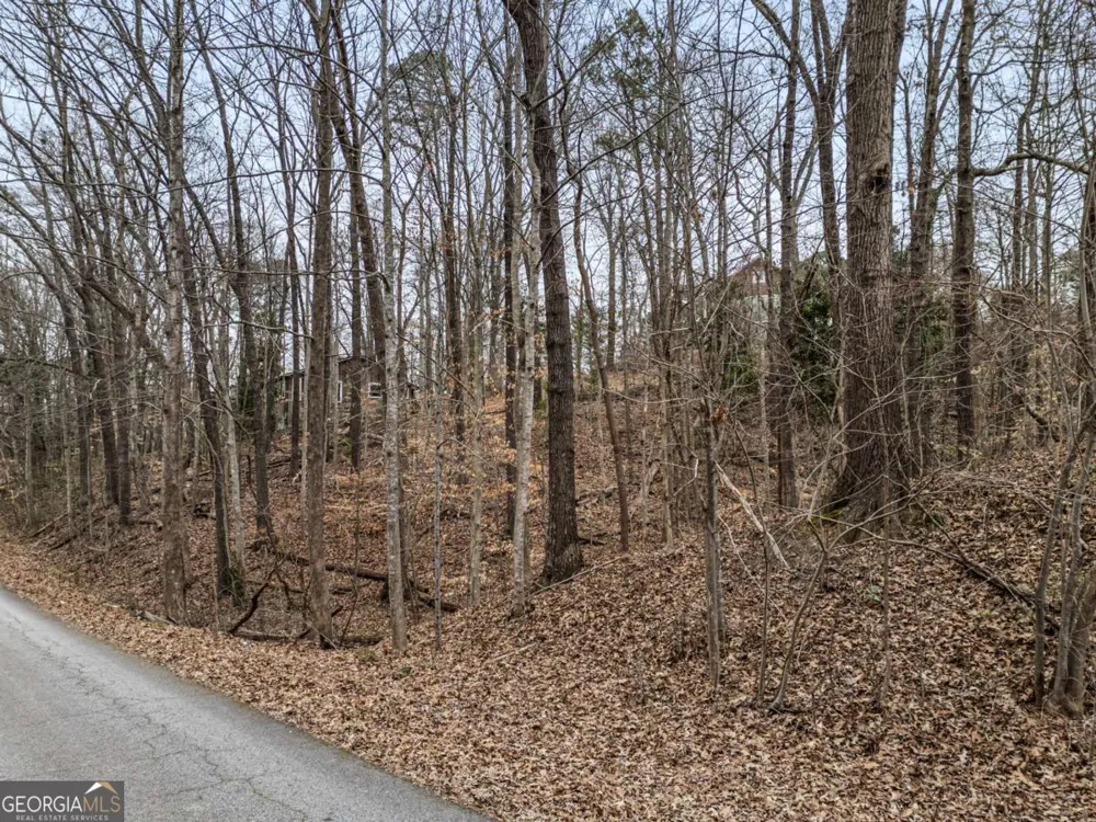 91 Remsdale ST Toccoa, GA 30577