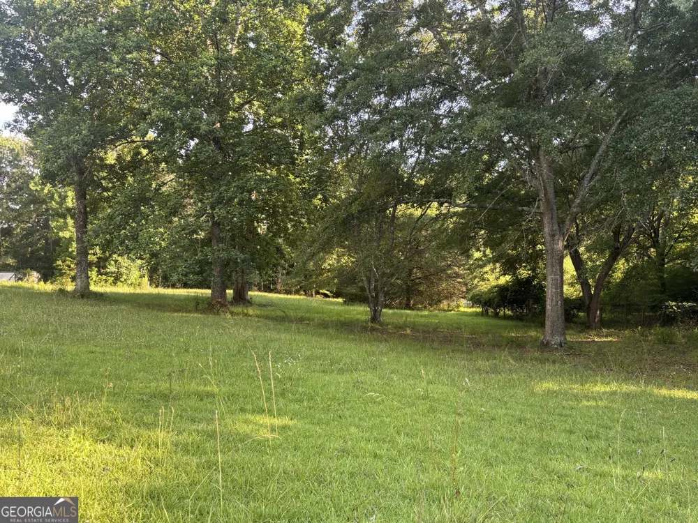 3799 Jonathans Roost RD Williamson, GA 30292