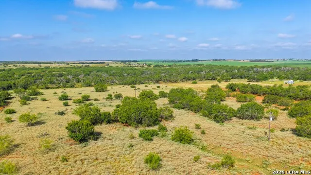 13.87+/- ACRES County Road 314 Charlotte, TX 78011