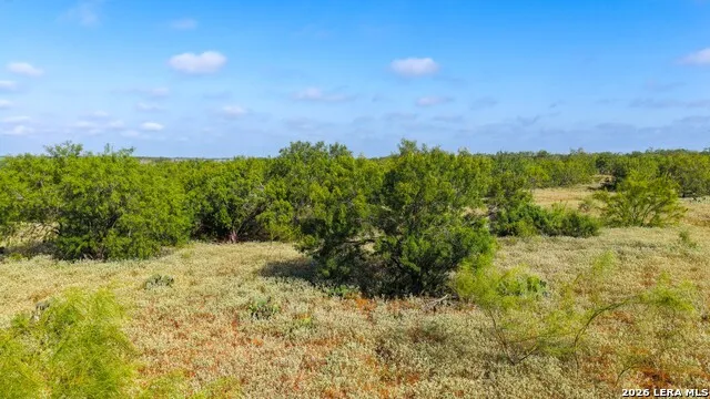 13.87+/- ACRES County Road 314 Charlotte, TX 78011