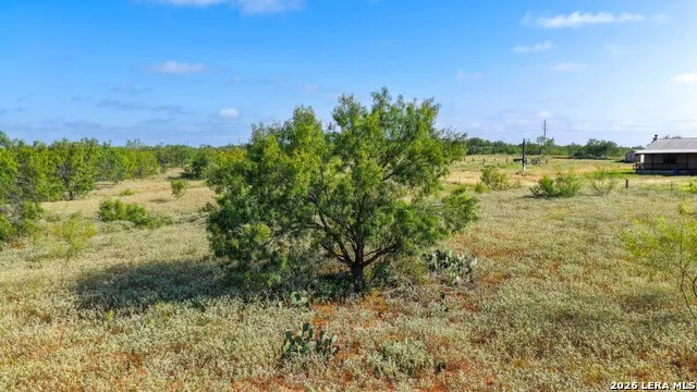 13.87+/- ACRES County Road 314 Charlotte, TX 78011