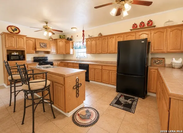 3108 Fm 190 Asherton, TX 78827