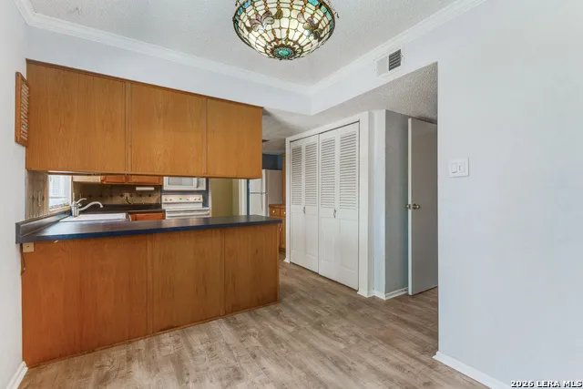 15101 Encino Verde San Antonio, TX 78232