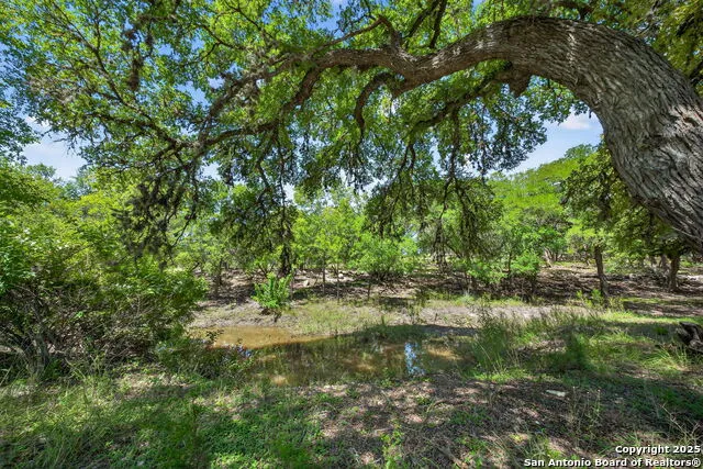 924 Wagon Creek Bandera, TX 78003