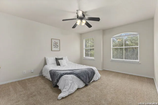 8942 FIREBAUGH DR Helotes, TX 78023