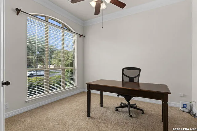 12606 Alstroemeria San Antonio, TX 78253