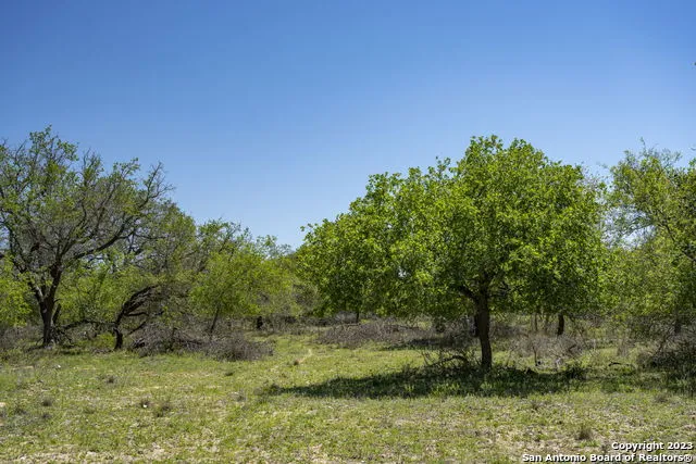 2703 County Road 770 Natalia, TX 78059