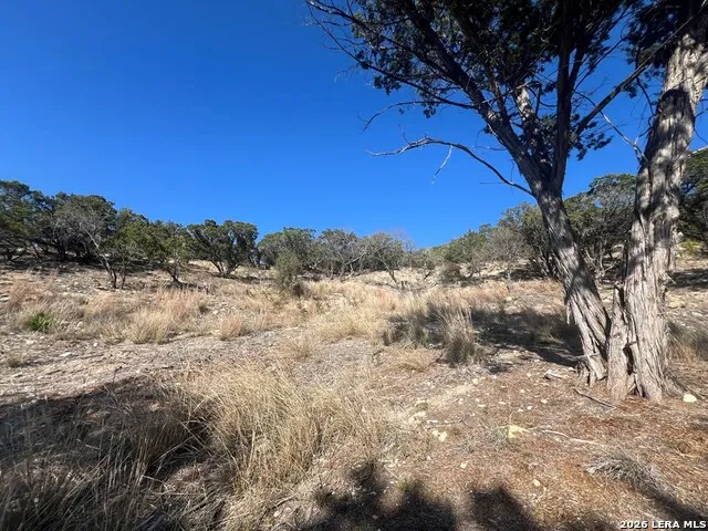 191 Scott Dr Center Point, TX 78010
