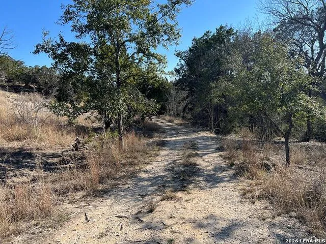 191 Scott Dr Center Point, TX 78010