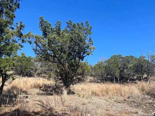 191 Scott Dr Center Point, TX 78010