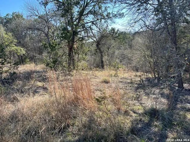 191 Scott Dr Center Point, TX 78010