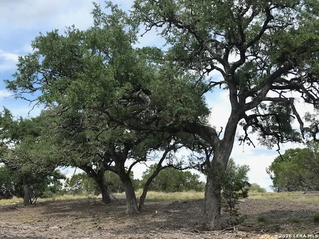 LOT 17 Rio Lantana Pipe Creek, TX 78063