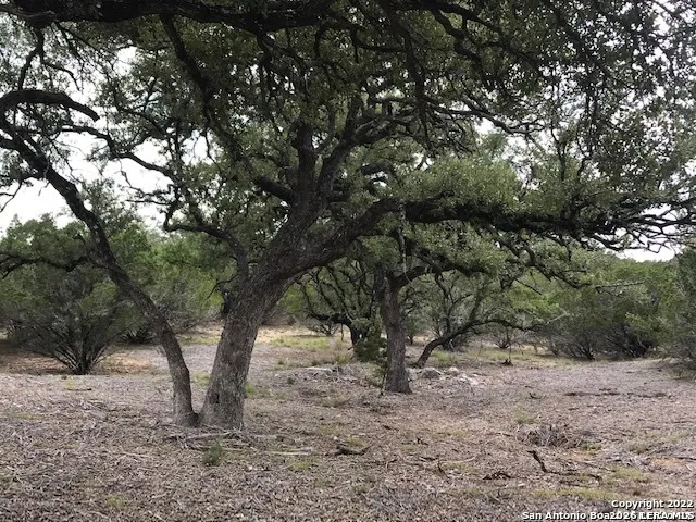 LOT 17 Rio Lantana Pipe Creek, TX 78063
