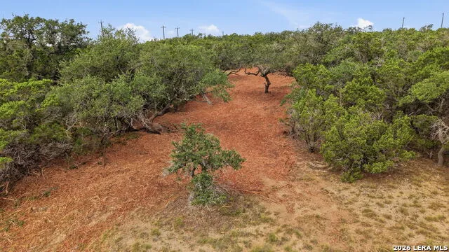 1280 Adyson Bulverde, TX 78163