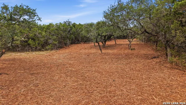 1280 Adyson Bulverde, TX 78163