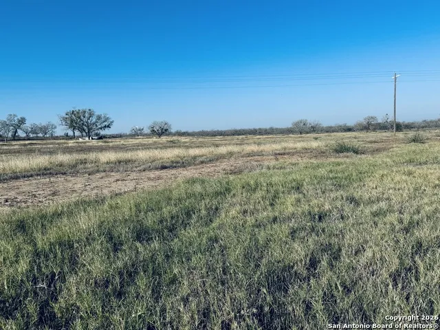 TBD Byrd Rd Pleasanton, TX 78064