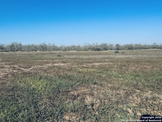 TBD Byrd Rd Pleasanton, TX 78064