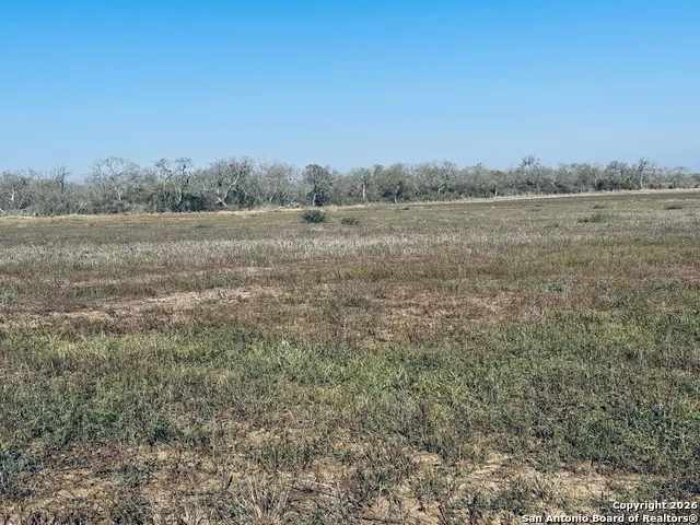 TBD Byrd Rd Pleasanton, TX 78064