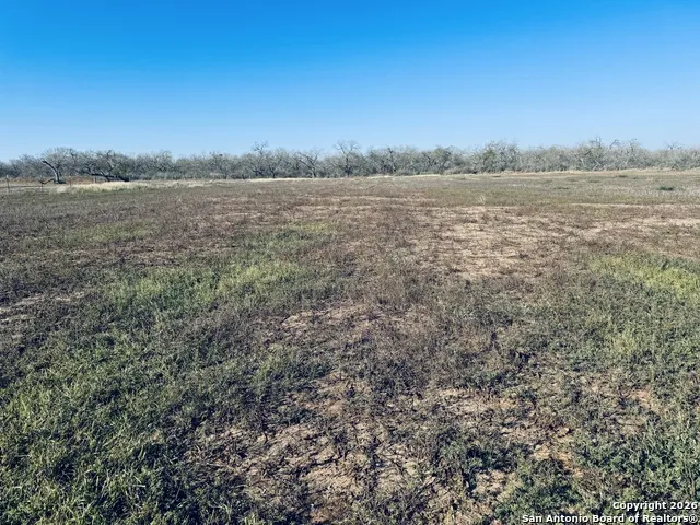 TBD Byrd Rd Pleasanton, TX 78064