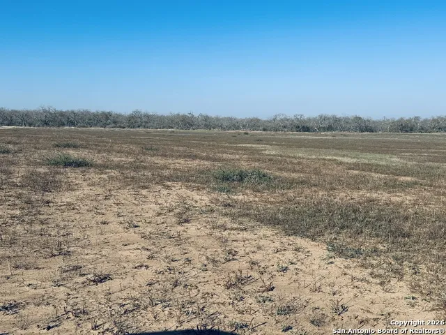 TBD Byrd Rd Pleasanton, TX 78064