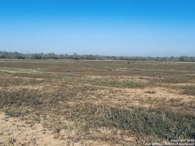 TBD Byrd Rd Pleasanton, TX 78064