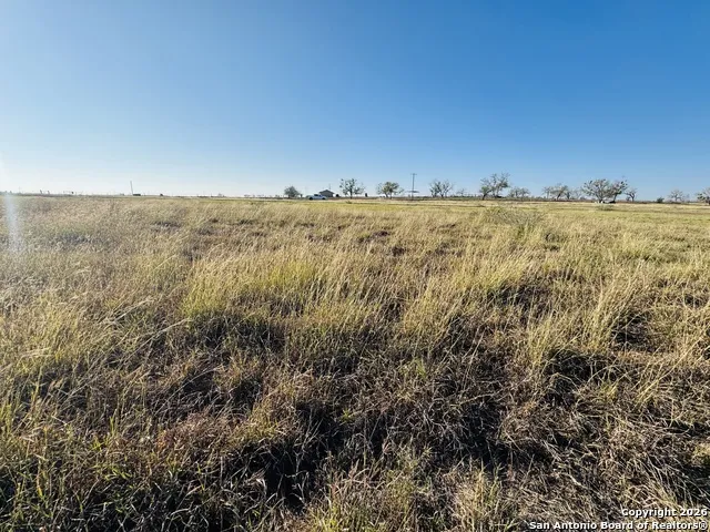 TBD Byrd Rd Pleasanton, TX 78064