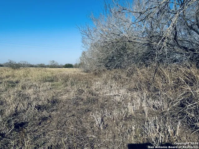 TBD Byrd Rd Pleasanton, TX 78064