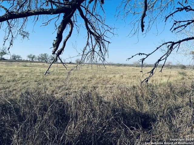 TBD Byrd Rd Pleasanton, TX 78064