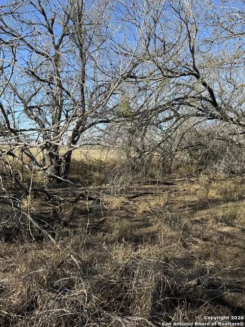 TBD Byrd Rd Pleasanton, TX 78064