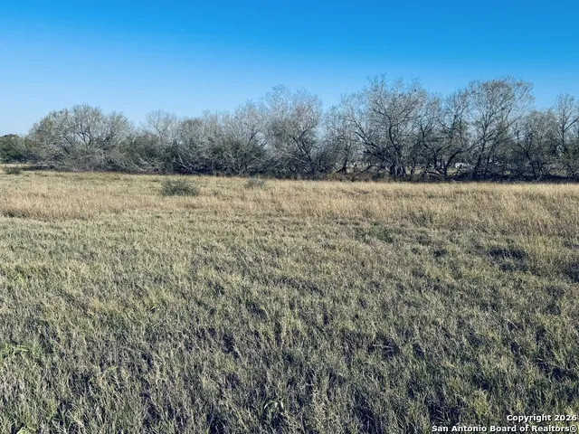 TBD Byrd Rd Pleasanton, TX 78064