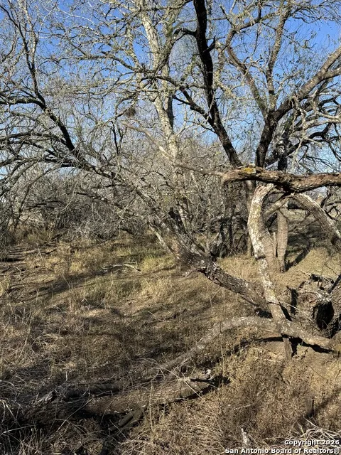TBD Byrd Rd Pleasanton, TX 78064