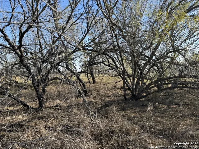 TBD Byrd Rd Pleasanton, TX 78064