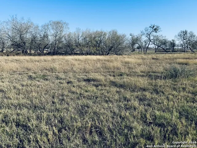 TBD Byrd Rd Pleasanton, TX 78064
