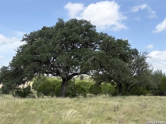 LOT 4 Rio Lantana Pipe Creek, TX 78063