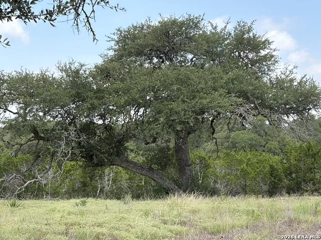 LOT 4 Rio Lantana Pipe Creek, TX 78063