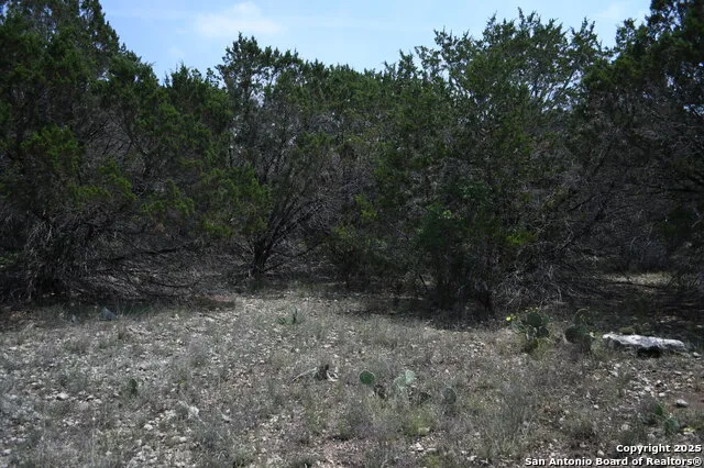 135 Agarita Spring Branch, TX 78070