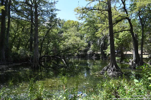 135 Agarita Spring Branch, TX 78070