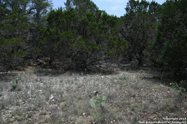 135 Agarita Spring Branch, TX 78070