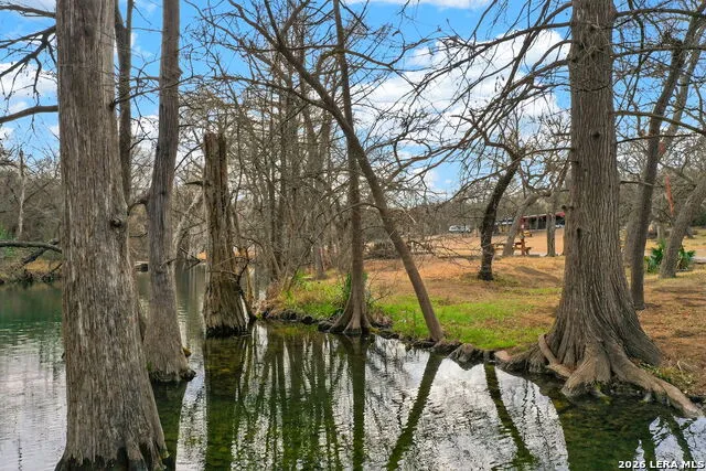 135 Agarita Spring Branch, TX 78070