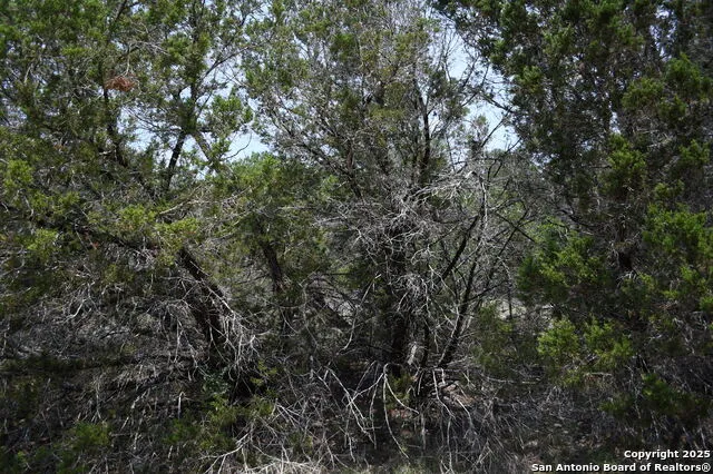135 Agarita Spring Branch, TX 78070