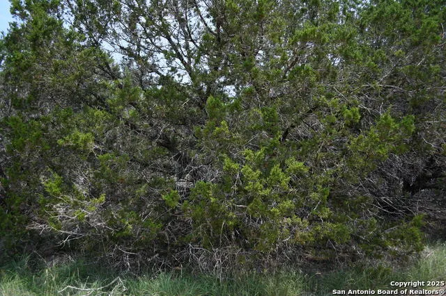 135 Agarita Spring Branch, TX 78070