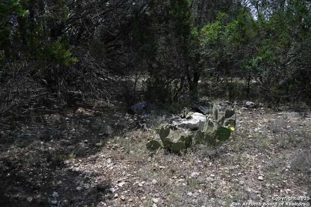 135 Agarita Spring Branch, TX 78070