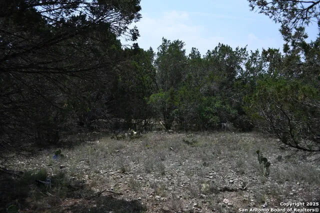 135 Agarita Spring Branch, TX 78070