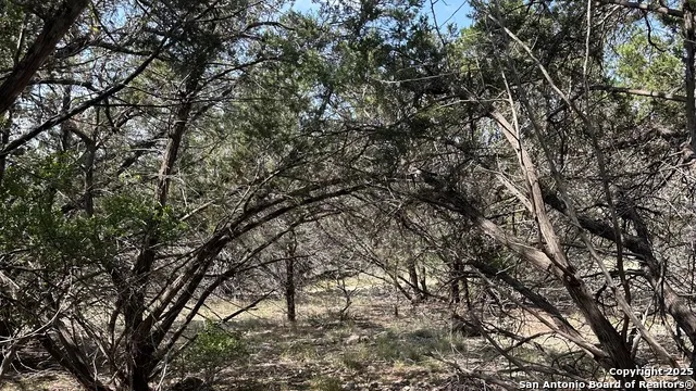 121 Agarita Spring Branch, TX 78070