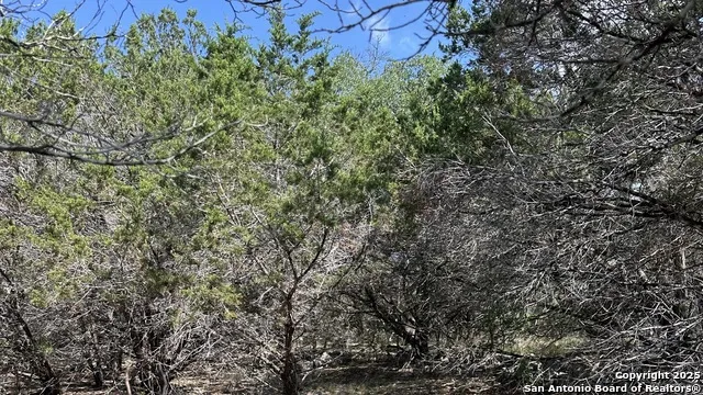 121 Agarita Spring Branch, TX 78070