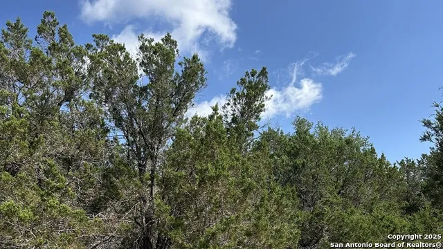 121 Agarita Spring Branch, TX 78070